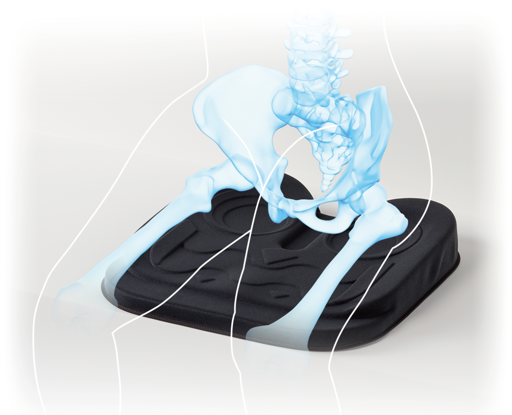 OWL Comfort 3D Premium supports the pelvis